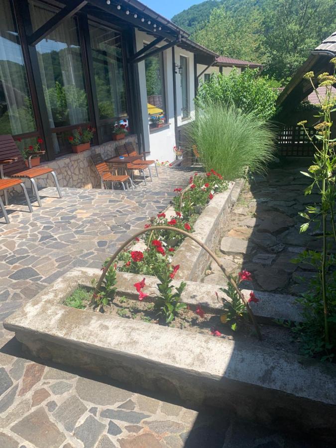 No Comment Rustic Hotell Curtea de Argeş Exteriör bild